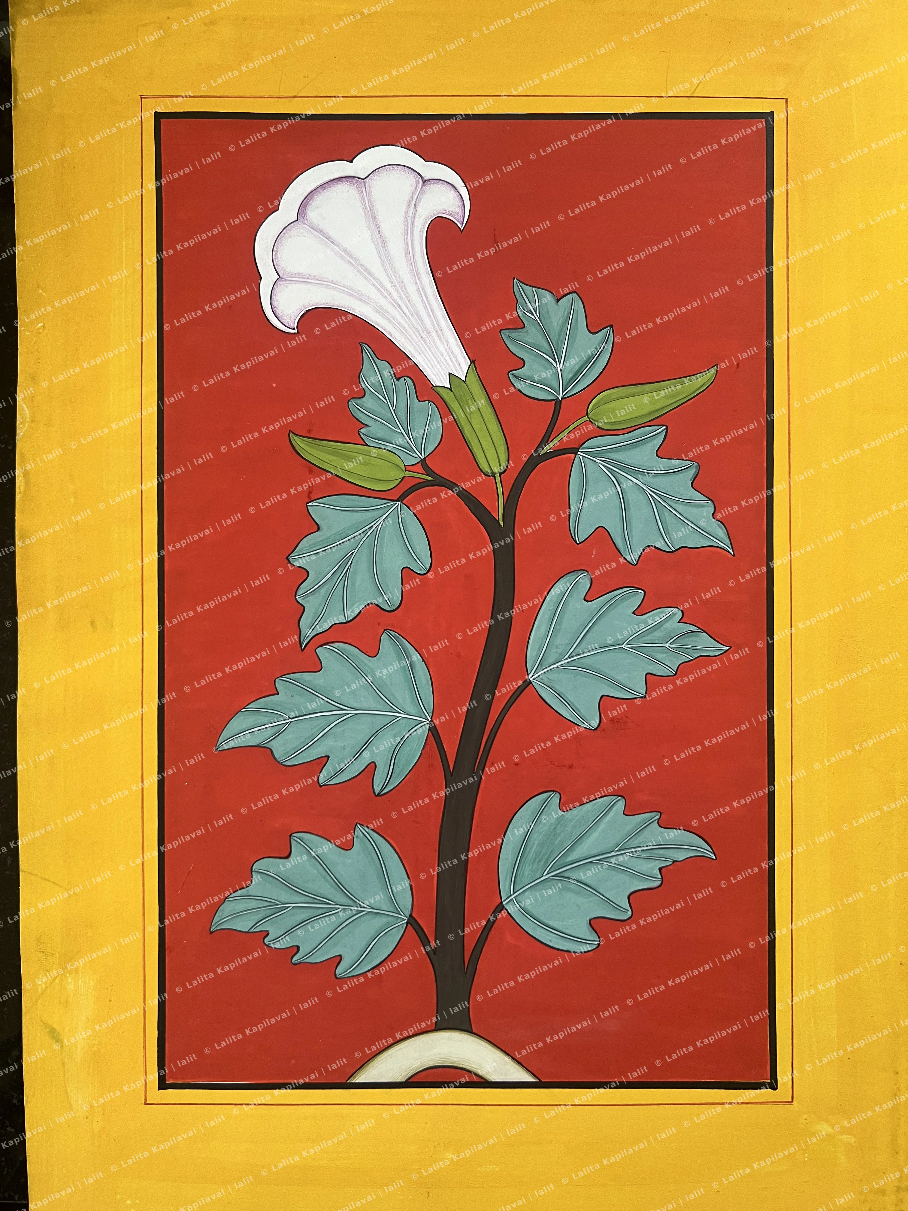 Datura Plant